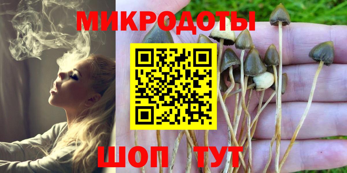 Псилоцибиновые грибы MAGIC MUSHROOMS  Вход с VPN  Белогорск 