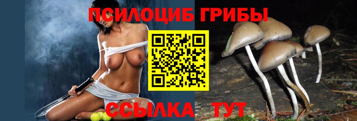 Псилоцибиновые грибы ЛСД Белогорск
